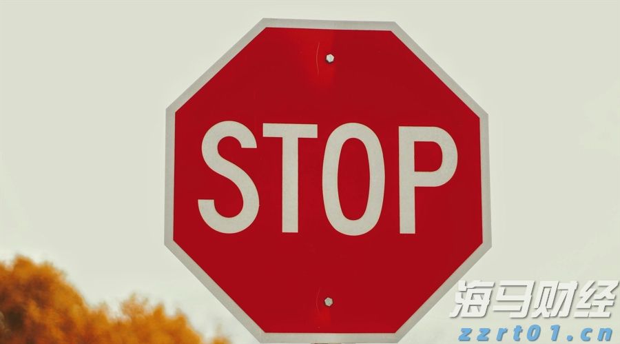 广东湛江:中华白海豚种群稳定 生态保护显成效