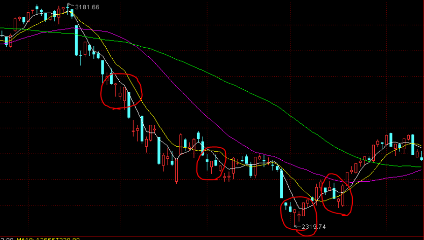 5名“驴友”迷路被救,遭顶格罚款各5000元不服起诉,广东法院:不冤