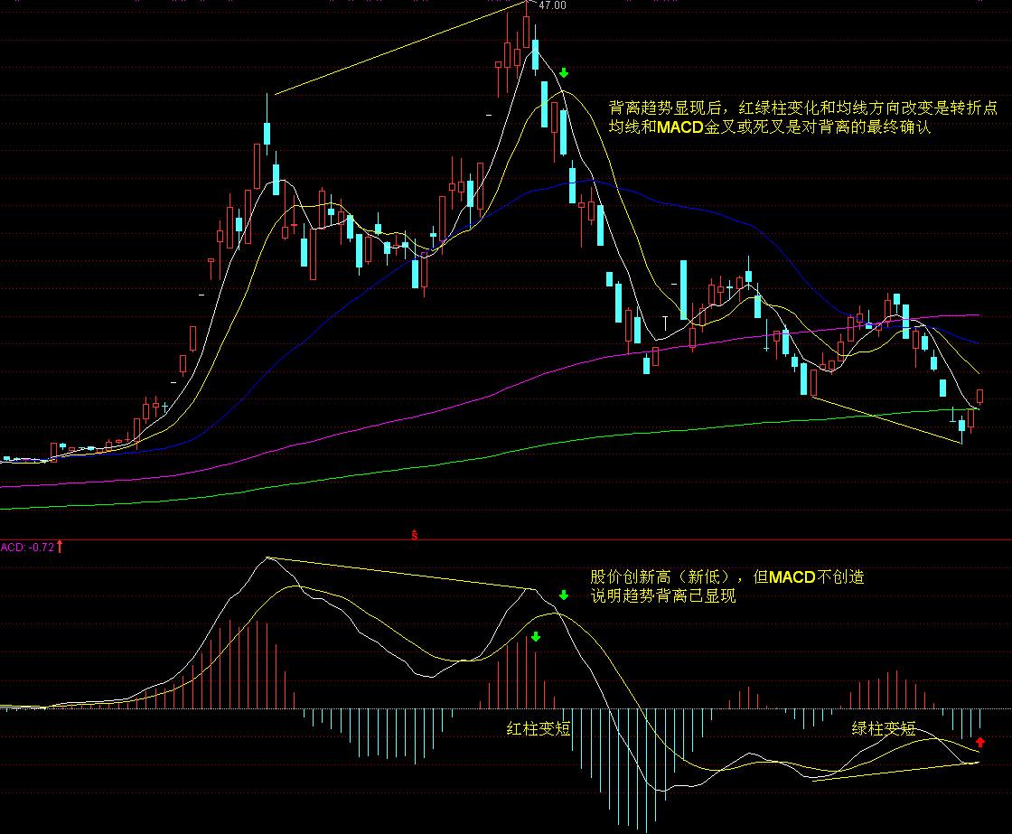 中山发布楼市新政:发放购房消费券、下调公积金利率
